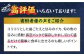 【漁協直送！】 獲れたて 旬魚 の柵 3種 セット（ 刺身 2種＆ イカ 1種）（4～5人前）【平戸市/舘浦漁業協同組合】 