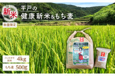 【季節限定】【令和6年産】健康にこだわる貴方へ！平戸の健康新米（こしひかり4kg＆もち麦500g）【平戸市/エコファーム永田】 [KAB207]