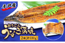 【季節限定】【日本初！海水で養殖】長崎県産おうごんうなぎ蒲焼き（2尾 計220g、タレ山椒2袋）【平戸市/（有）松永水産】 [KAB208]