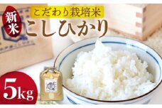 【着日指定 可能】【令和6年・平戸産】こだわり栽培米 （ こしひかり 1袋/5kg）【平戸市/㈱GreenPeace】 [KAB211]
