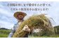 【令和6年・平戸産】こだわり栽培米 （ こしひかり 1袋/5kg）【平戸市/㈱GreenPeace】 