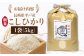 【令和6年・平戸産】こだわり栽培米 （ こしひかり 1袋/5kg）【平戸市/㈱GreenPeace】 