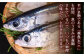 【旨味たっぷり】10年熟成魚醤油入り調味料3種BOX【長田食品】 