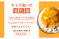 【とろっと甘いマンゴーがどっさり】完熟マンゴーチーズタルト1ホール(18cm) 【心優-CotoyuSweets-】 