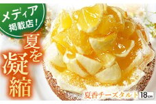 【季節限定】【夏限定の贅沢スイーツ】平戸特産夏香チーズタルト 1ホール（18cm） 【 心優-CotoyuSweet】 [KAA349] 