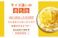 【季節限定】【先行予約】【夏限定の贅沢スイーツ】平戸特産夏香チーズタルト 1ホール（18cm） 