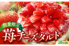 【春限定の贅沢スイーツ】完熟平戸産苺のストロベリーチーズタルト 1ホール（18cm）【心優-CotoyuSweets-】 [KAA350] 