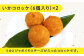 【 イカ を味わい尽くす】平戸の イカ 加工品 4種食べ比べ８個セット【百旬館】