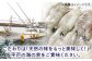 【パッ一杯】 お父さん 応援！ おつまみ 4種(８個)セット【百旬館】
