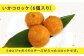 【 イカ を味わい尽くす】平戸の イカ 加工品 4種 食べ比べ 4個セット【百旬館】