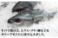 【アレンジ無限大！】オリーブオイル に漬け込んだ 平戸 の風香る 魚 の タタキ【百旬館】 