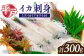 【 鮮度抜群 】 甘くてコリコリ！平戸の ミズイカ （ アオリイカ） 刺身 約300g【百旬館】 