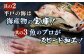 【お好みの厚さで！】平戸 の 新鮮 な 魚 刺身 用 ブロック 3種 約1.4kg 詰め合わせ【百旬館】 