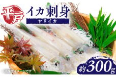 【 鮮度抜群 】 甘くてコリコリ！平戸の ヤリイカ 刺身 約300g【百旬館】 [KAK023] 今が旬