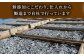 【手軽に本格派】いりこ屋の贅沢だしパックセット【末弘丸】 