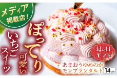 ＜母の日＞【大人の苺スイーツ】あまおうゆめのかモンブラン【1ホール（14cm）】 平戸市 / 心優-CotoyuSweets [KAA327] モンブランタルト タルト ケーキ モンブラン スイーツ デザート 洋菓子 栗 マロン 通販 お取り寄せ ギフト

