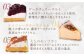 【人気の8種を食べ比べ】平戸産全粒粉小麦配合  8種のパーティーアソート 【心優-CotoyuSweets-】 