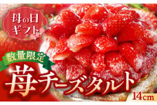 ＜母の日＞【春限定の贅沢スイーツ】完熟平戸産苺のストロベリーチーズタルト 1ホール（14cm） 平戸市 / 心優-CotoyuSweets- [KAA298] お歳暮