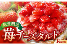 春限定の贅沢スイーツ！完熟平戸産苺のストロベリーチーズタルト 1ホール（14cm） 平戸市 / 心優-CotoyuSweets- [KAA298] お歳暮