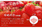春限定の贅沢スイーツ！完熟平戸産苺のストロベリーチーズタルト 1ホール（14cm） 