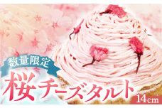 【春を感じる大人スイーツ】平戸産全粒粉小麦のさくらちーずたると 1ホール(14cm) 【心優-CotoyuSweets-】 [KAA297] 