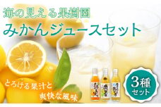【着日指定 可能】【自家栽培の柑橘のみを使用】みかん ジュース 3本 セット【善果園】 [KAA359]