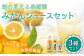 【自家栽培の柑橘のみを使用】みかん ジュース 3本 セット【善果園】 