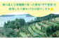 【自家栽培の柑橘のみを使用】みかん ジュース 3本 セット【善果園】 