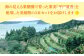 【自家栽培の柑橘のみを使用】シトラスビネガー 美柑酢（みかんす）3本 セット【善果園】 