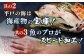 平戸市 鮮 魚 ブロック 3種 計約4.2kg （約1.4kg/回）百旬館 