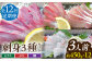 【全12回定期便 】平戸市 鮮魚 3人前 詰め合わせ 計約5.4kg （450g/回）百旬館 