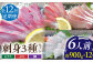 【全12回定期便 】平戸市 鮮魚 6人前 詰め合わせ 計約10.8kg （900g/回）百旬館 