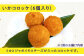 【6回定期便】漁場直送！平戸のイカ 加工品4種食べ比べ4個セット【百旬館】 