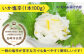 【6回定期便】漁場直送！平戸のイカ 加工品4種食べ比べ4個セット【百旬館】 
