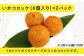 【3回定期便】お母さん応援！お弁当のおかず3種（4個）セット【百旬館】 