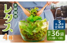 【3回定期便】 平戸産 水耕栽培レタス 36個（4種×9個）【モロフジファーム】 [KAA365]レタス 通販 新鮮 レタス サラダ レタス 産地直送 