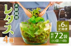 【6回定期便】 平戸産 水耕栽培レタス 72個（4種×18個）【モロフジファーム】 [KAA366]レタス 通販 新鮮 レタス サラダ レタス 産地直送 