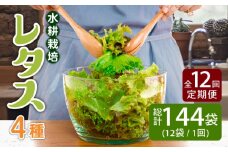 【12回定期便】 平戸産 水耕栽培レタス  144個（4種×36個）【モロフジファーム】 [KAA367]レタス 通販 新鮮 レタス サラダ レタス 産地直送 