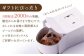 【ハマるおいしさ】栗好きさんのための栗尽くし モンブラン タルト 1ホール(14cm) 【心優-CotoyuSweets-】