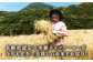 《健康志向なあなたへ》平戸の健康新米（白米4kg・黒米400g）【エコファーム永田】 