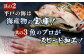 【お好みの厚さで！】平戸の新鮮な魚 刺身用 ブロック 3種 約700g 詰め合わせ【百旬館】 お刺身 さしみ 鮮魚  