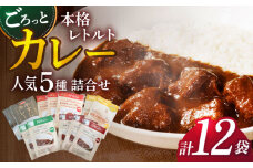【カレー好きのためのアソートセット】カレー工房NVfoodsのカレー5種（12袋）詰め合わせセット [KAB219]カレー レトルト スパイス ご当地カレー 通販 お取り寄せ グルメ 簡単調理 保存食