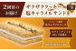 【全4回定期便】キャラメルスイーツ定期便 