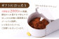 【全2回定期便】ガトーショコラ＆チョコタルト定期便 