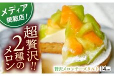 【着日指定 可能】贅沢メロンチーズタルト1ホール(14cm)【心優　－Cotoyu Sweets－】 [KAA393] 贅沢メロンチーズタルト メロン チーズタルト タルト ケーキ スイーツ デザート フルーツ 贅沢 ホール 通販 お取り寄せ ギフト