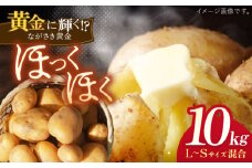 【先行予約】ながさき黄金 10kg 【JAながさき西海 平戸営農経済センター】 [KAL001]