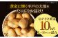 【先行予約】ながさき黄金 10kg 【JAながさき西海 平戸営農経済センター】 