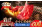 長崎和牛 カルビ焼肉用 約600g【萩原食肉産業有限会社】 