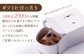 栗好きさんのための栗尽くしモンブランタルト(18cm)【心優 －Cotoyu Sweets－】 