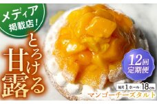 【全12回定期便】完熟マンゴーチーズタルト（18cm）【心優 －Cotoyu Sweets－】 [KAA446] 